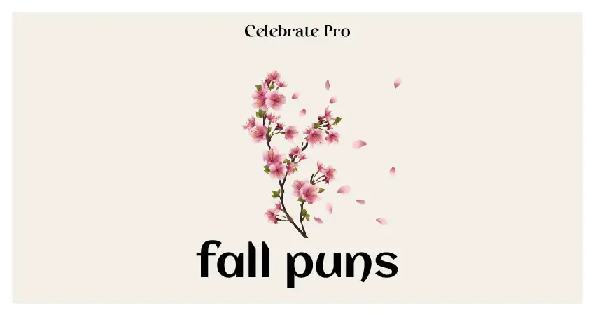 Best fall puns & Jokes