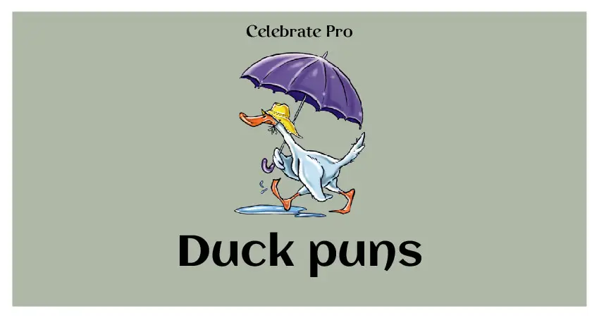 Duck puns list