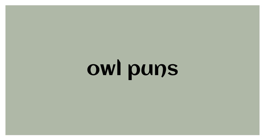 Funny Puns for owl