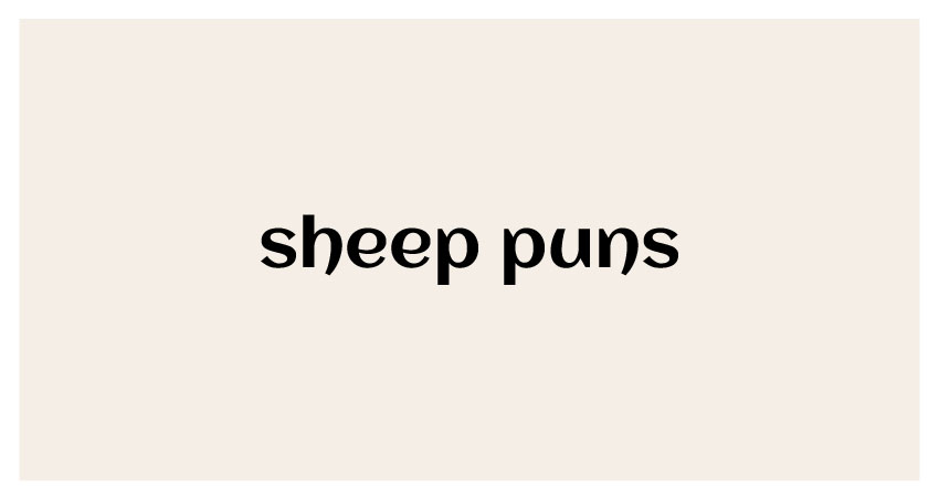 Funny Puns for sheep
