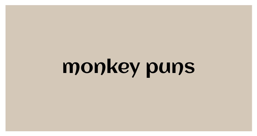 Funny puns for monkey