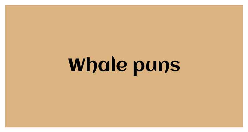 Funny whale puns ideas