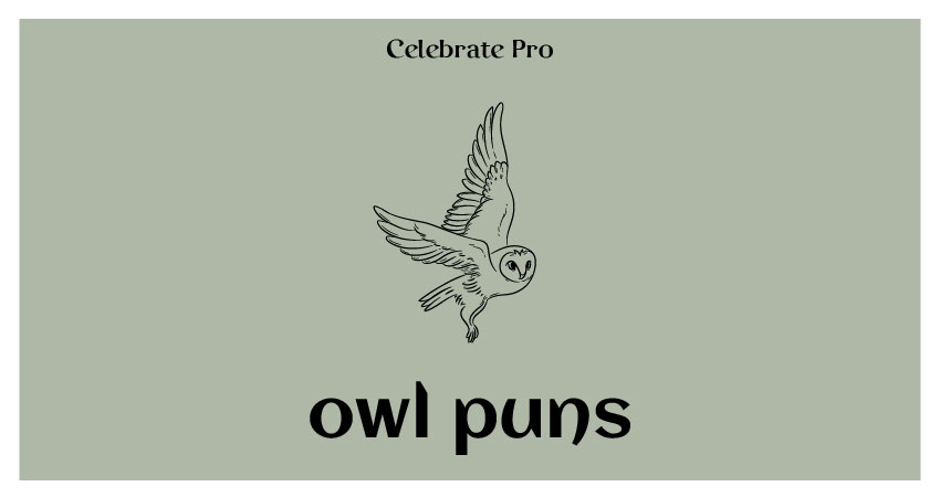 Owl puns list