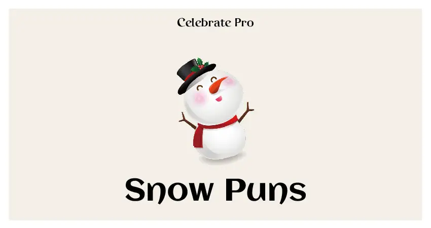 Snow puns & Funny jokes