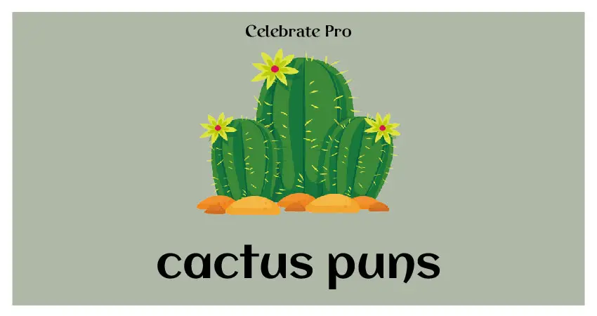 cactus puns