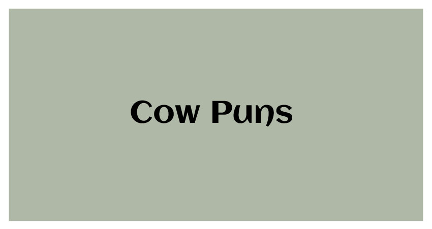 cow puns moo