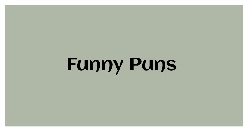 funniest puns ideas