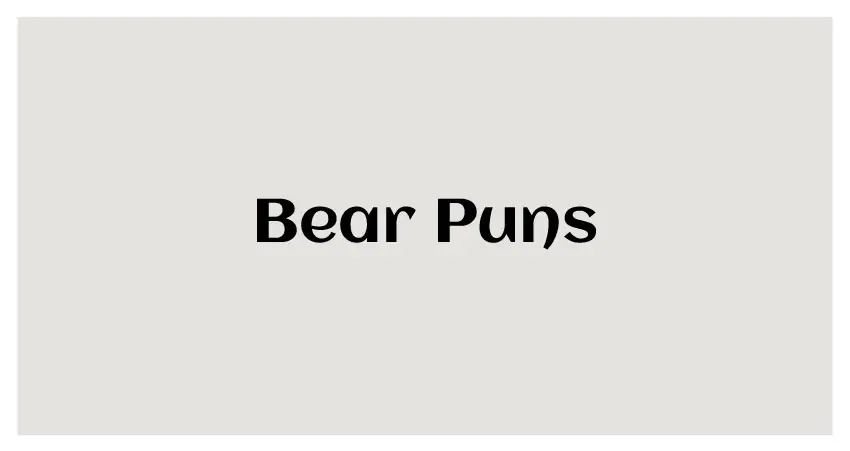 funny bear puns