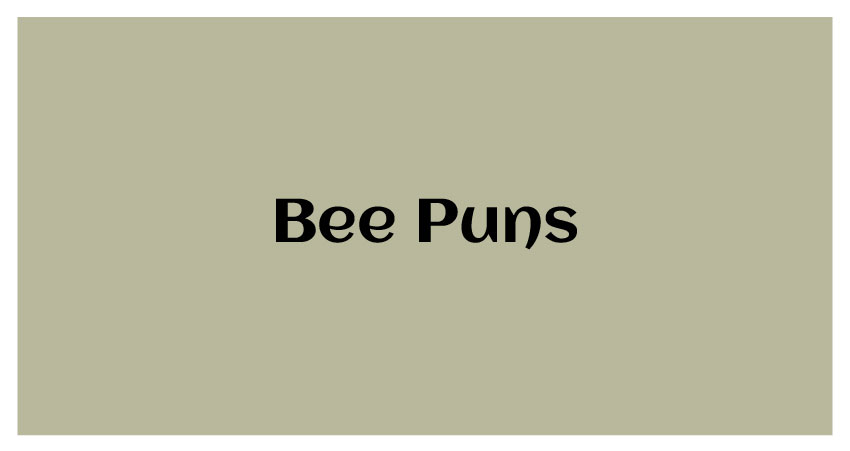 funny bee puns
