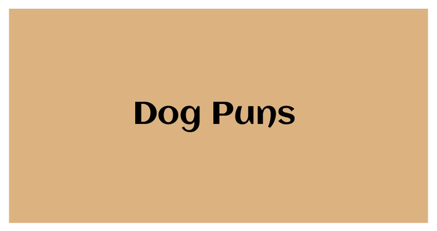 funny dog puns