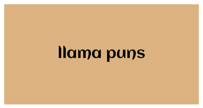 funny llama puns