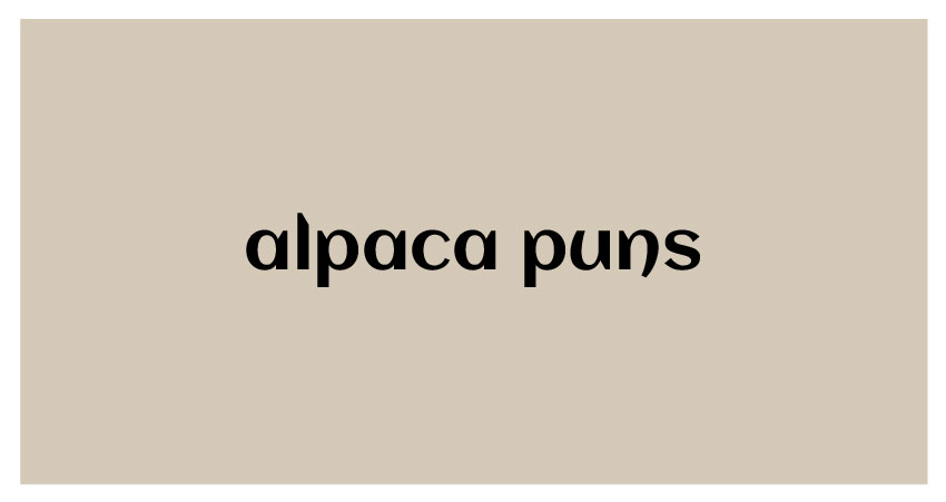 funny puns for alpaca