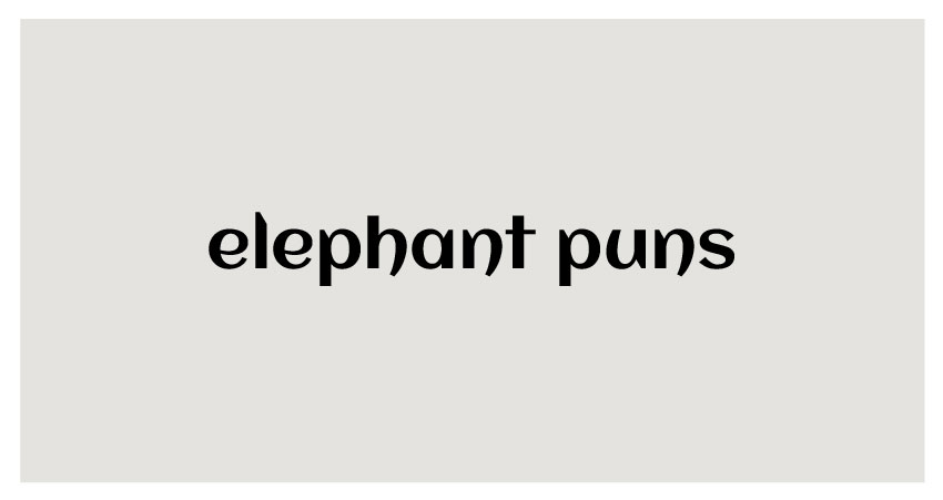 funny puns for elephant