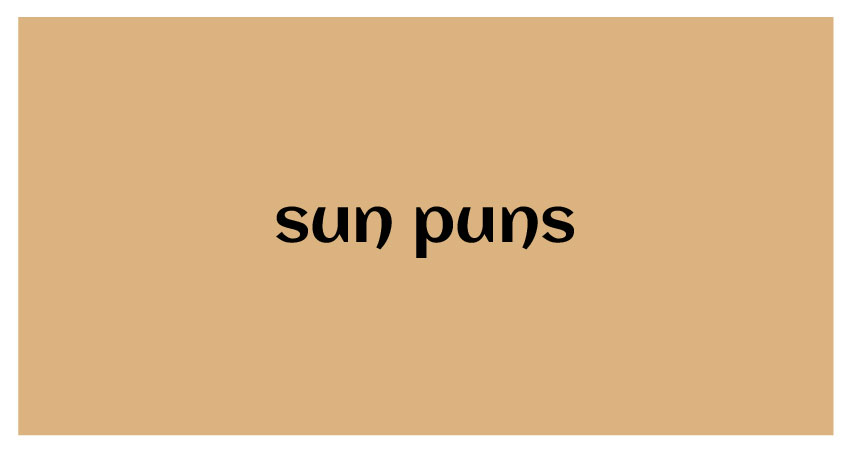 funny puns for sun