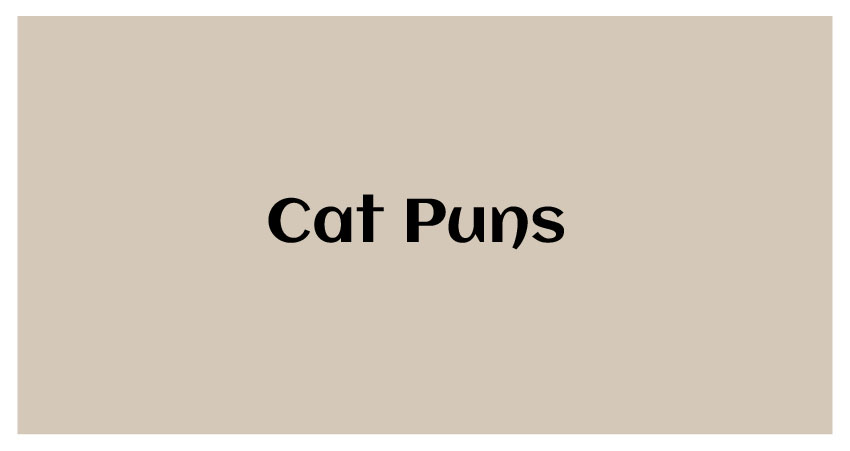 meow puns