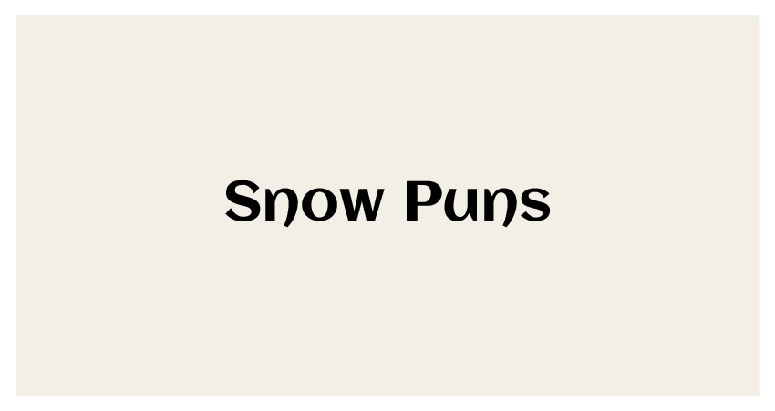 snow globe puns