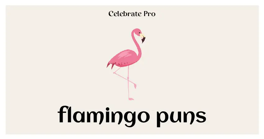 flamingo puns list
