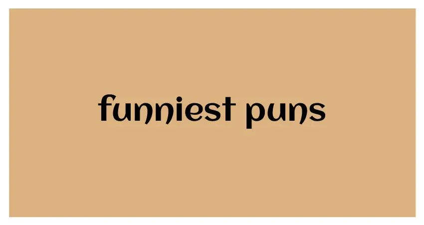 funny puns for funniest