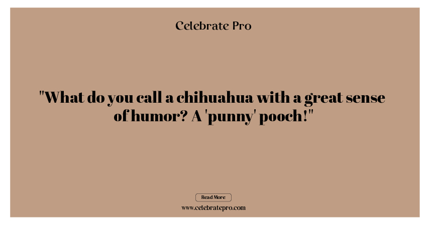 Best Short Chihuahua Puns