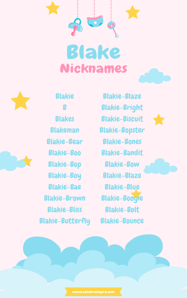 Funny Nicknames for Blake