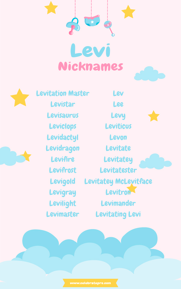 Funny Nicknames for Levi