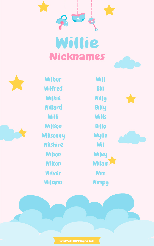 Funny Nicknames for Willie