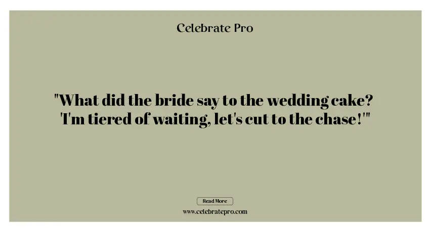 Funny Puns for Bride