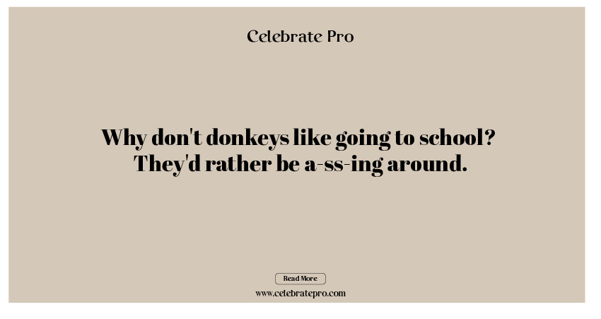 Good One-Liner Donkey Puns