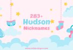 Hudson Nickname