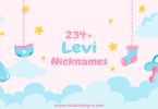 Levi Nickname