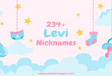 Levi Nickname