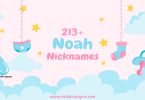 Noah Nickname