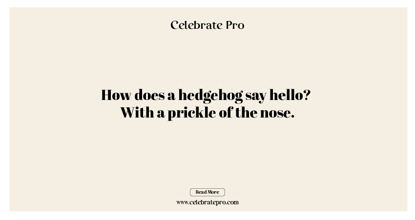 One-Liner Hedgehog Puns