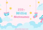 Willie Nickname