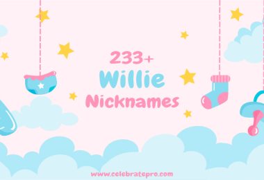 Willie Nickname