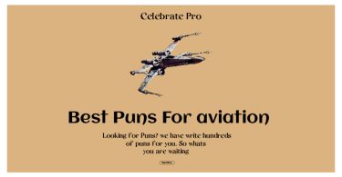 aviation puns
