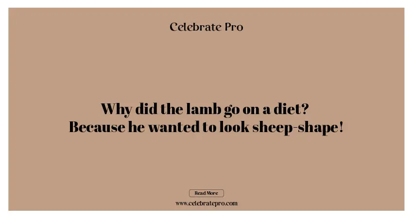 Best Short Lamb Puns