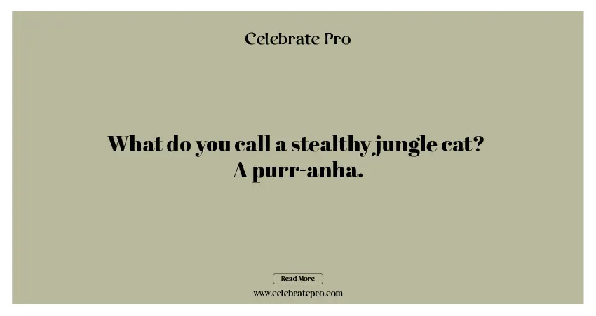 Best short jungle puns