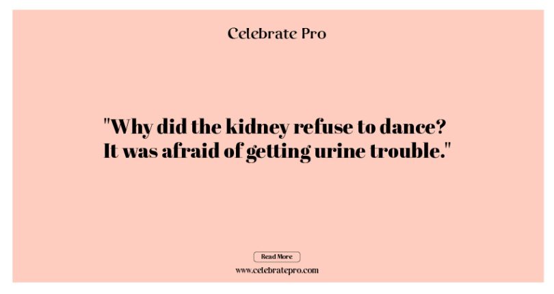 113 Catchy Kidney Puns that Will Leave You Laughing