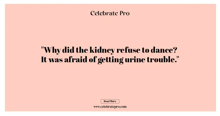 Funny Puns for Kidney