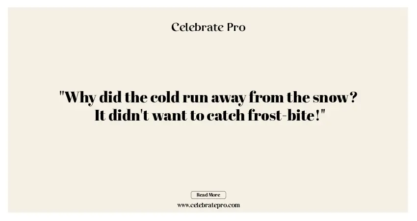 One-Liner Cold Puns