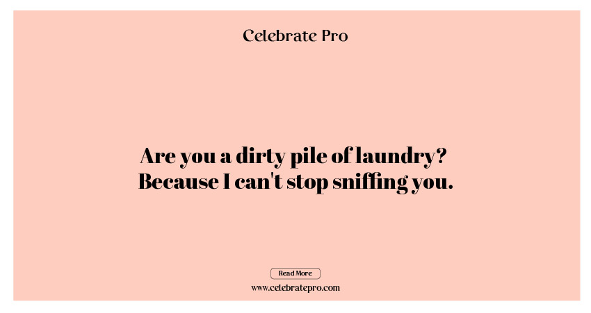 One-Liner Laundry Puns