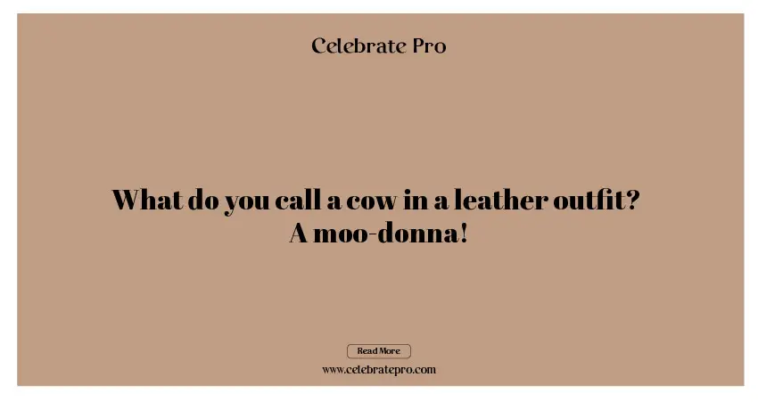 One-liner Leather Puns