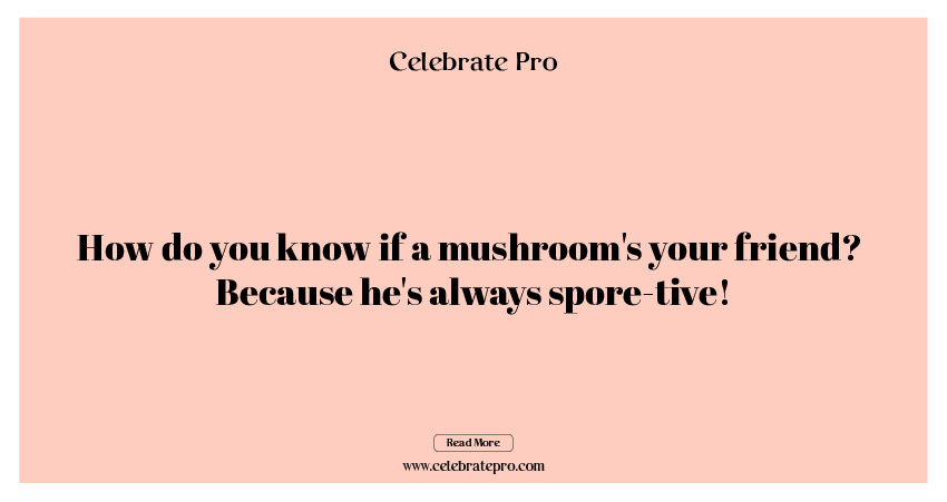 Best Short Mushroom Puns