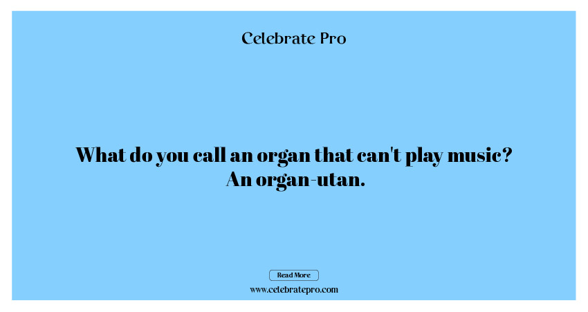 Best Short Organ Puns