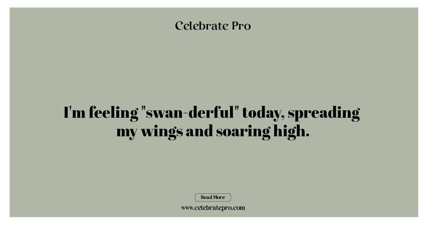 Best Short Swan Puns