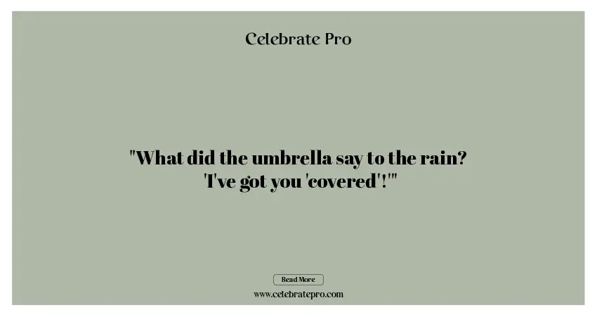Best short umbrella puns
