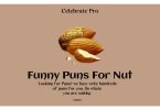 Nuts Puns