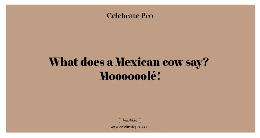 One-Liner Mexican Food Puns