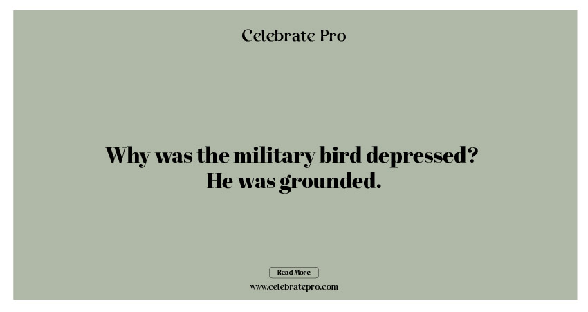 One-Liner Military Puns